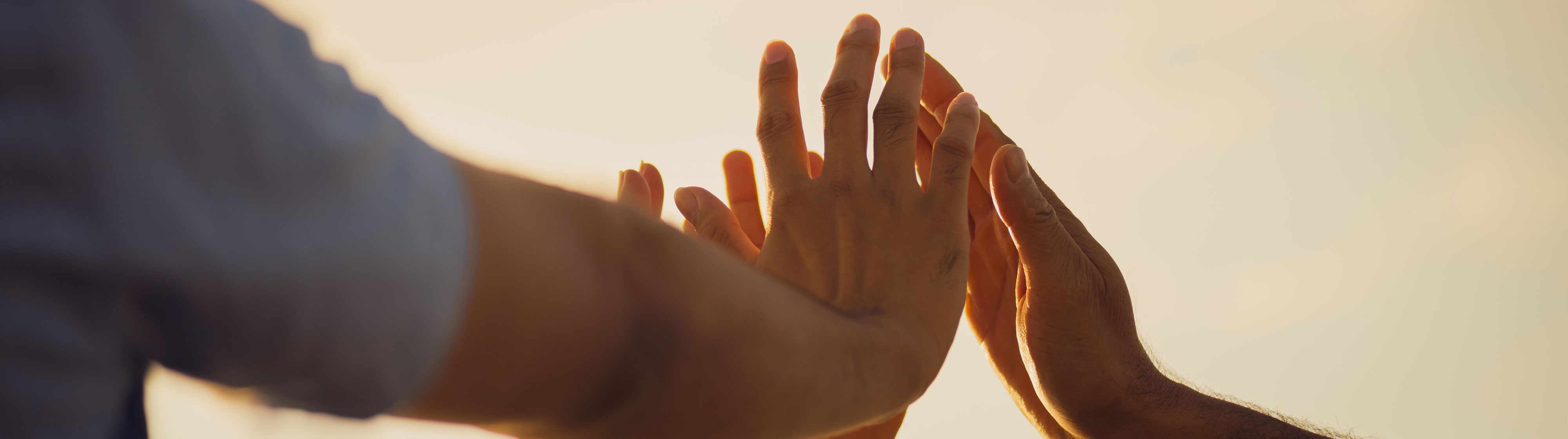 TIMOTEC - Karriere banner